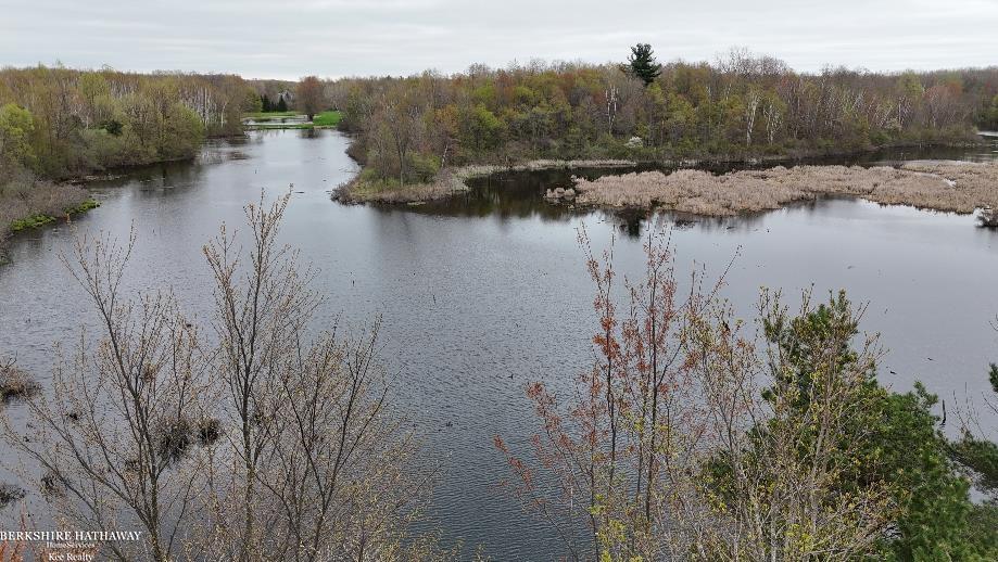 Imlay City, Michigan 48444, United States, ,Land,Pending,198674