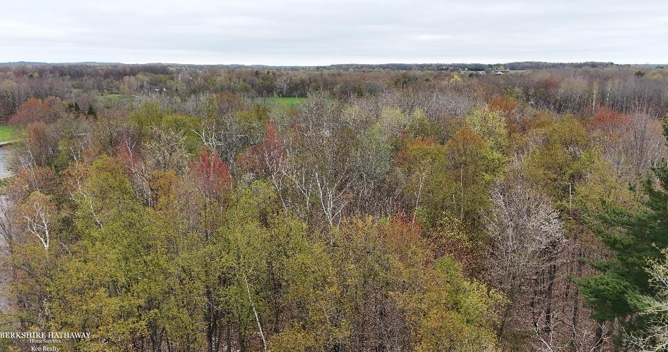 Imlay City, Michigan 48444, United States, ,Land,Pending,198674