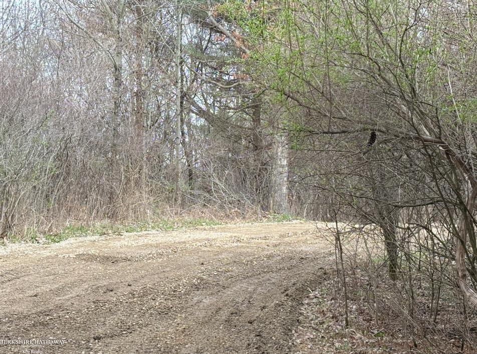 Imlay City, Michigan 48444, United States, ,Land,Pending,198674