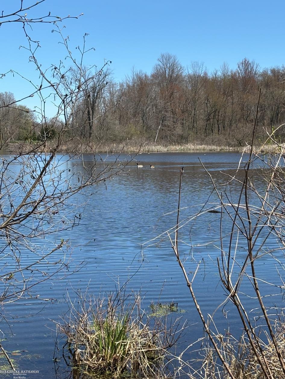 Imlay City, Michigan 48444, United States, ,Land,Pending,198674