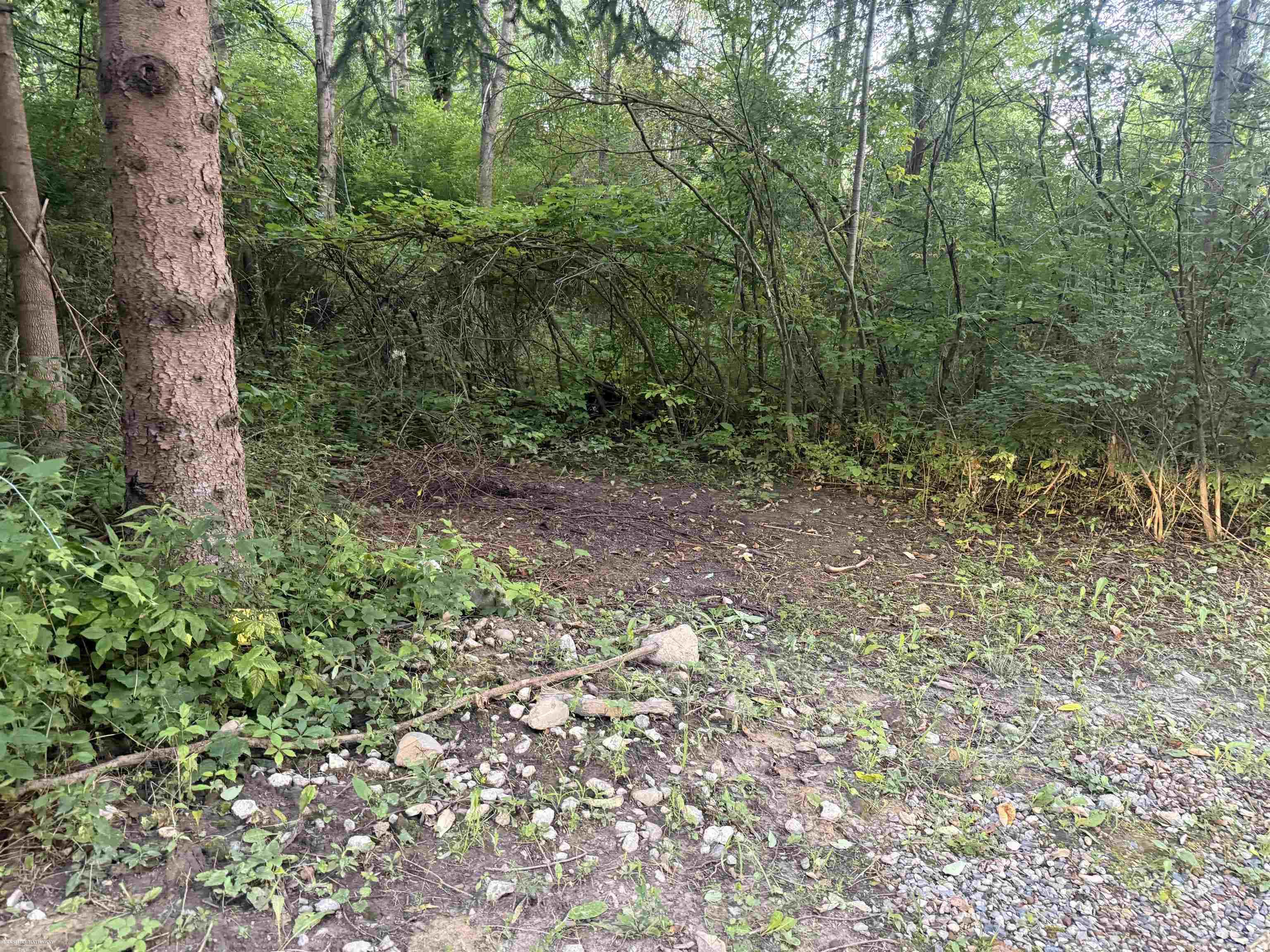 Imlay City, Michigan 48444, United States, ,Land,Pending,198674