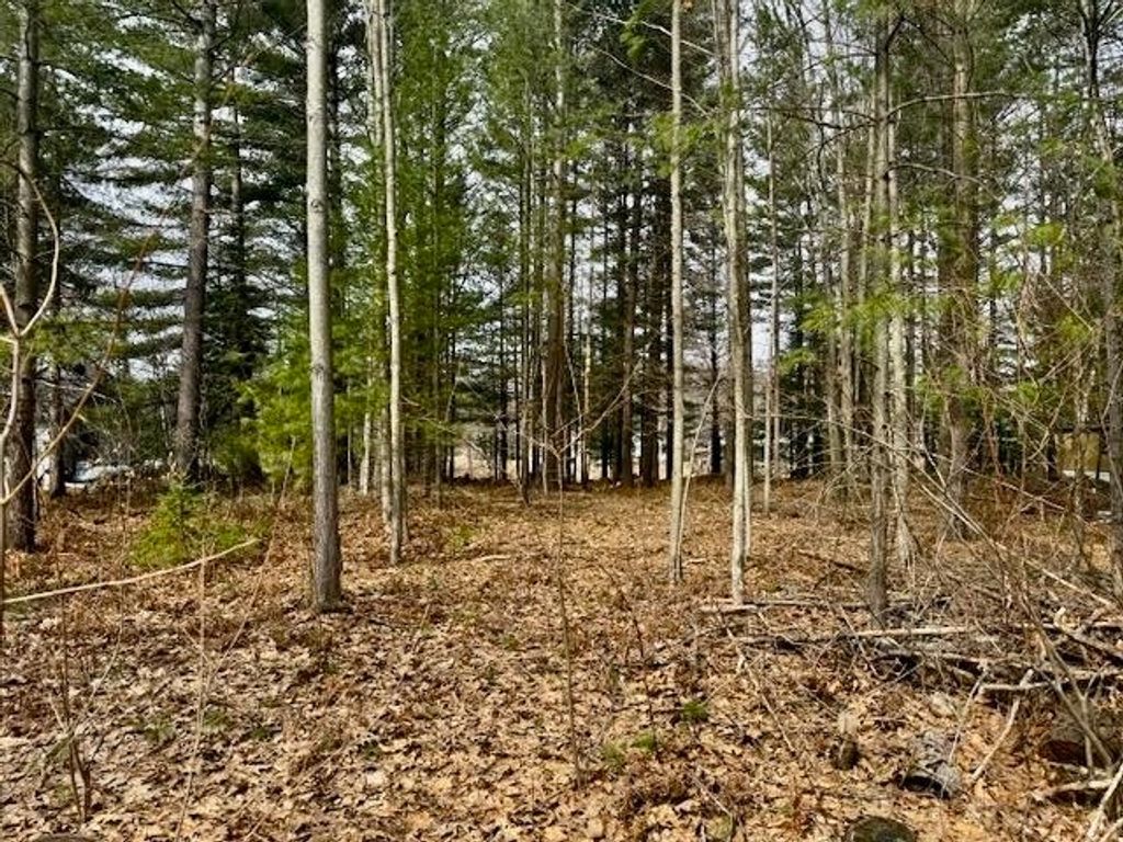 Photo of 4535 River Lane Street, Alger, MI 48610 (MLS # 50202481)