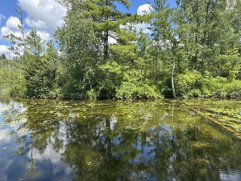 Photo of 1743 W 68th Street, Baldwin, MI 49304 (MLS # 70545125)