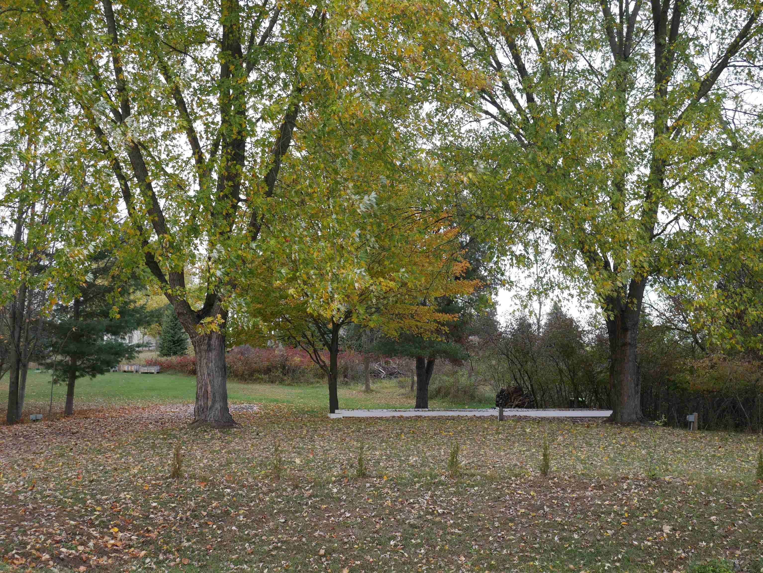 5106 Queens Way