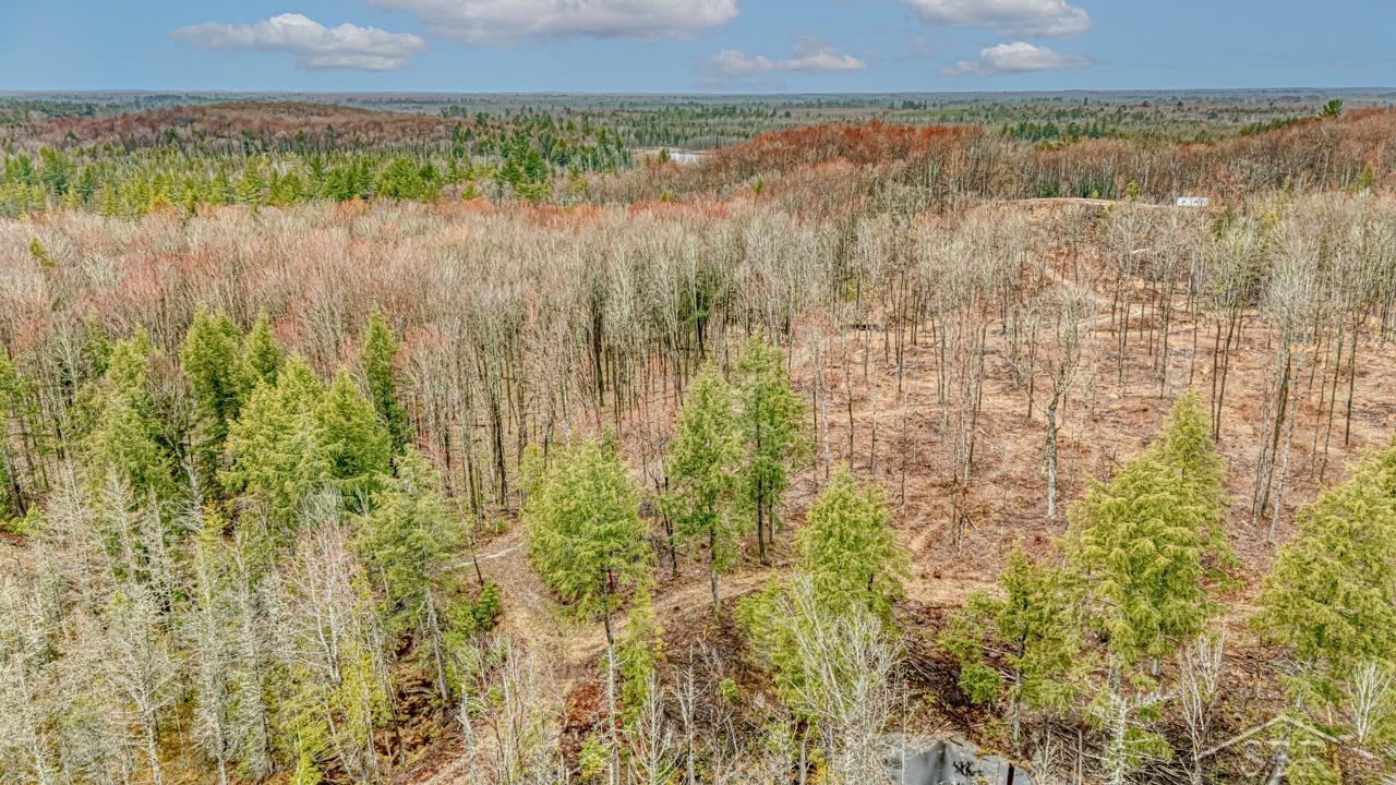 Au Train, Michigan 49895, United States, ,Land,Active,134334