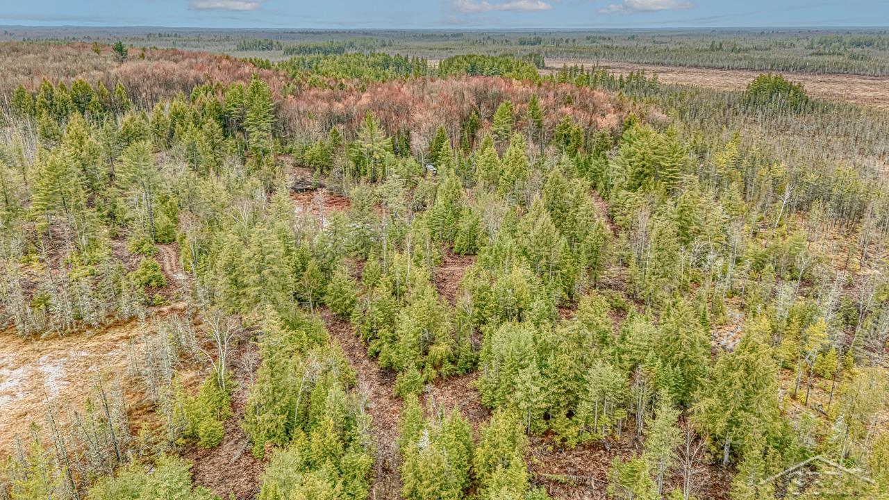 Au Train, Michigan 49895, United States, ,Land,Active,134334