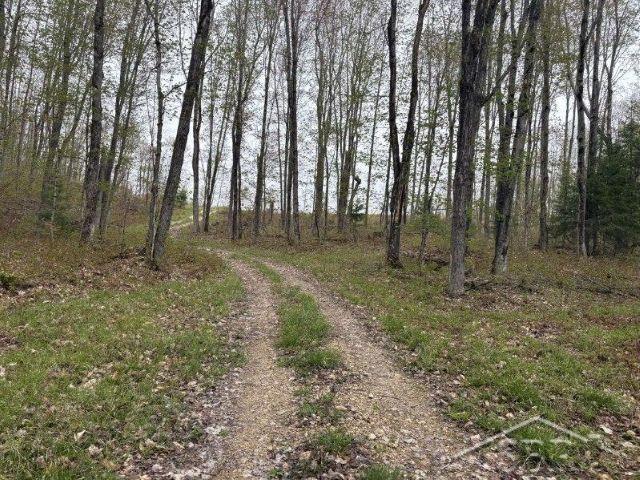 Au Train, Michigan 49895, United States, ,Land,Active,134334