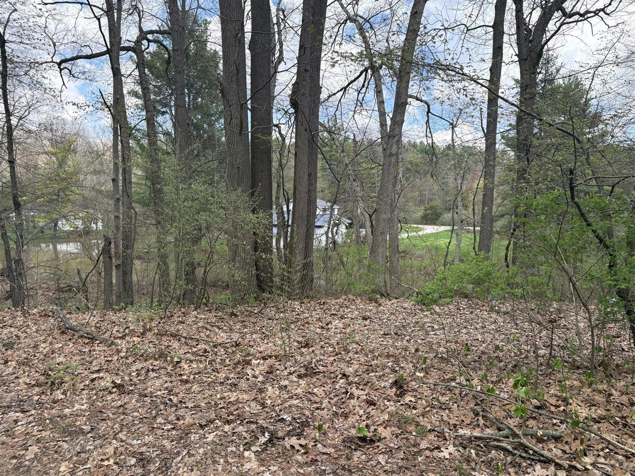 8091 Poplar Drive