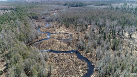 Photo of TBD Murray 25 Road, Perronville, MI 49873 (MLS # 50206451)