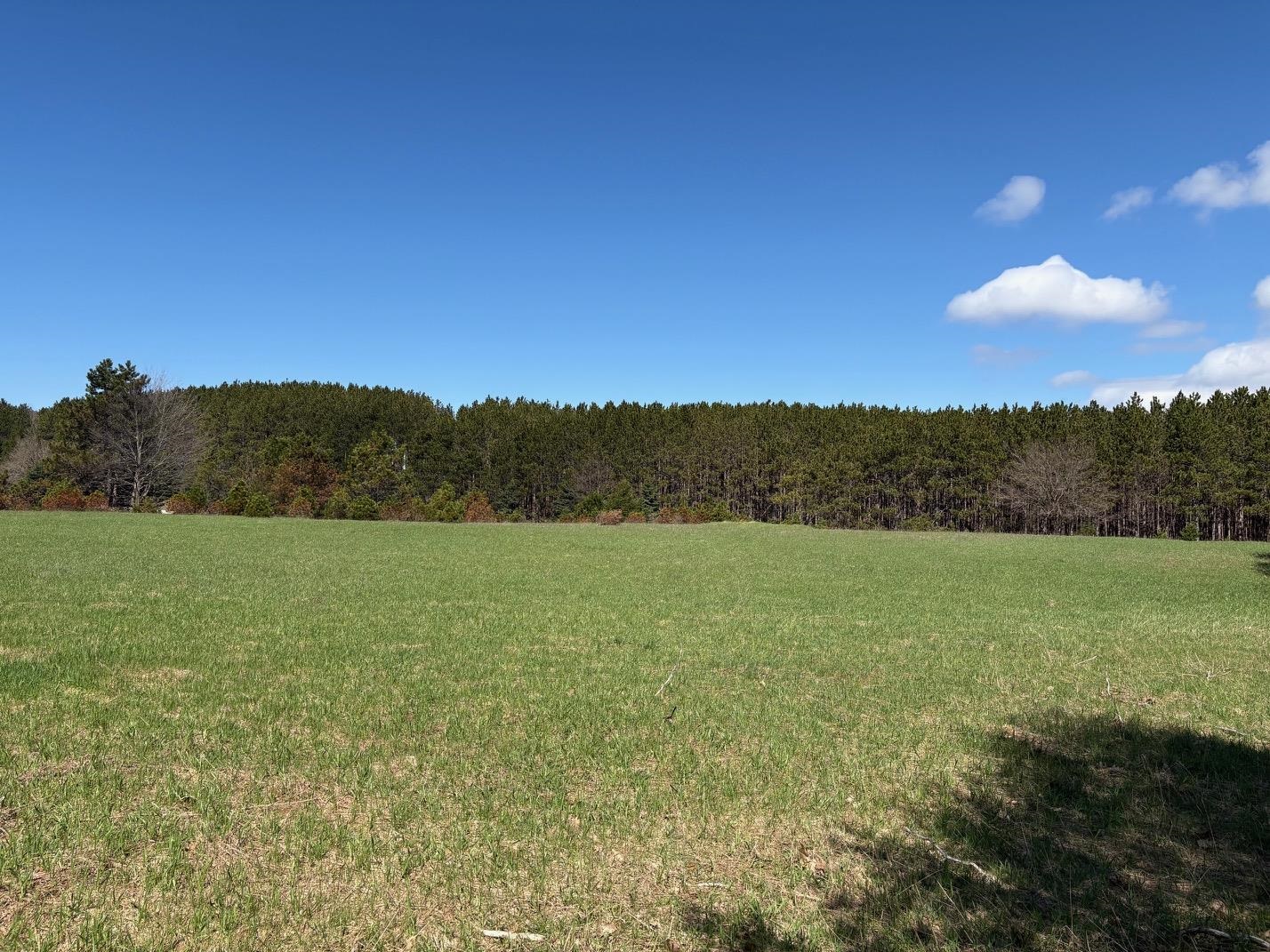 V/L Spruce Ridge