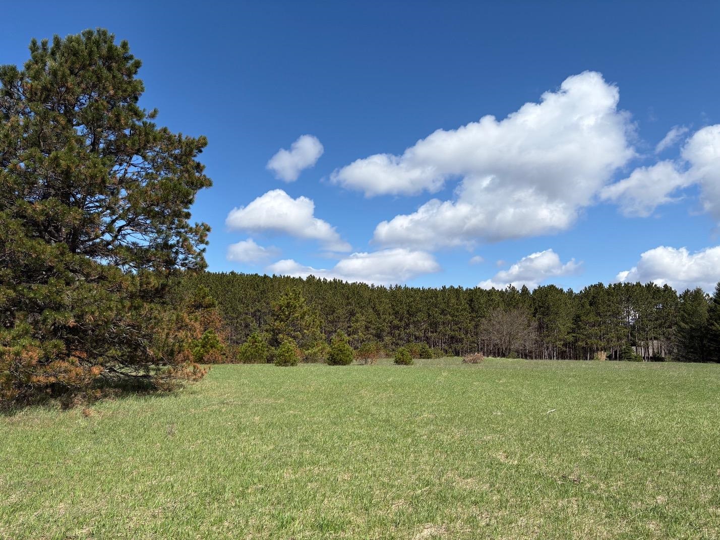 V/L Spruce Ridge