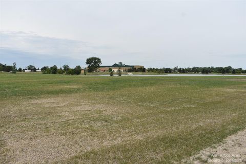 16488 Tecumseh Dundee MI 48131