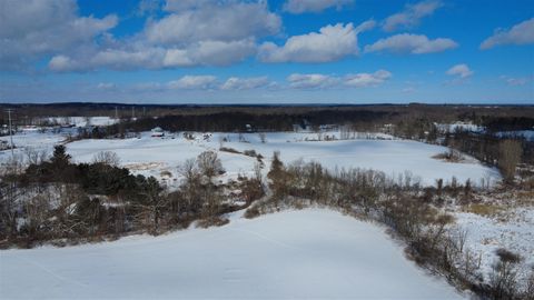 Photo of TBD Bordman Road TBD #TBD, Leonard, MI 48367 (MLS # 70514239)