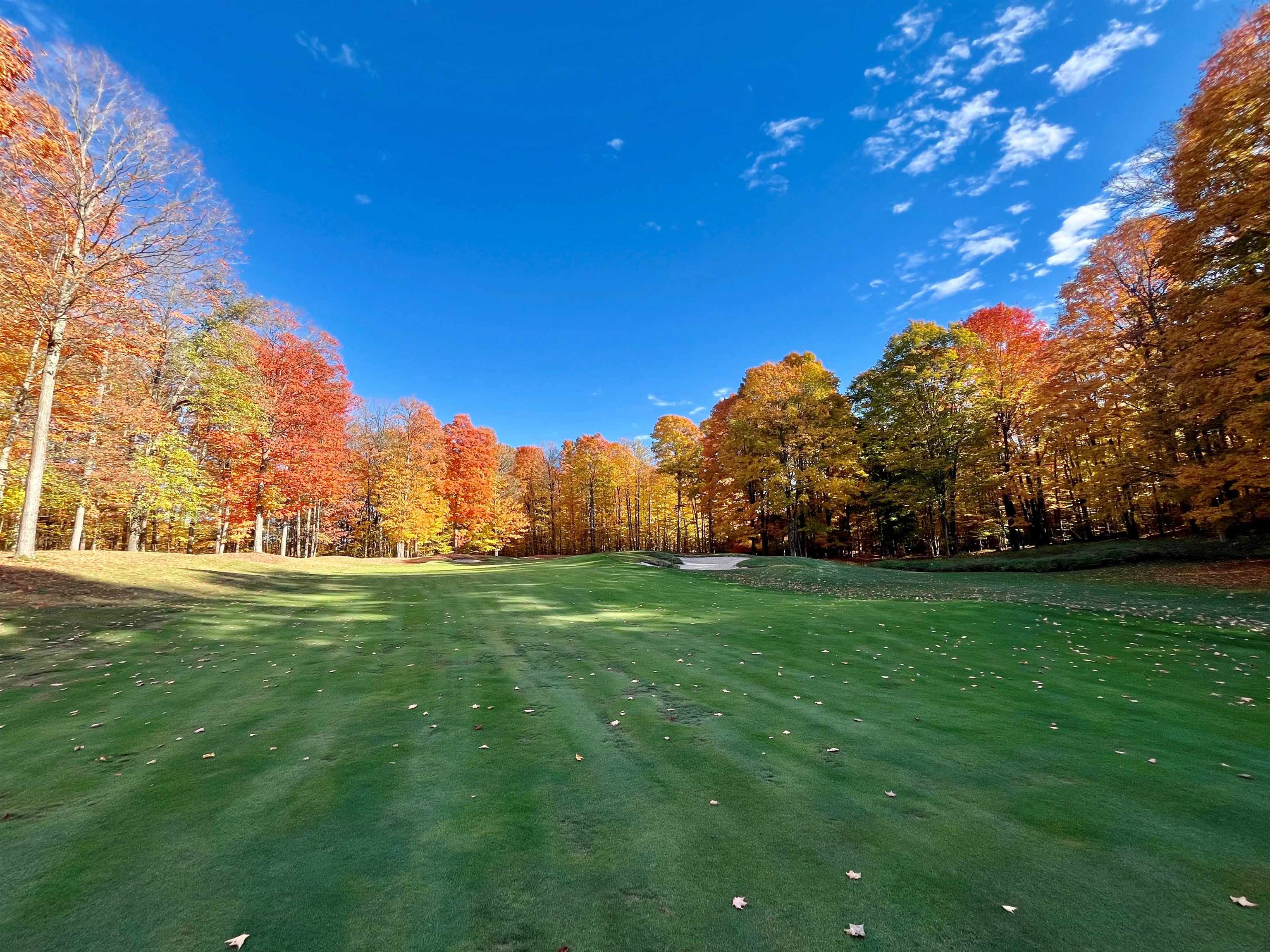 V/L 82 Troon North Lot: 82