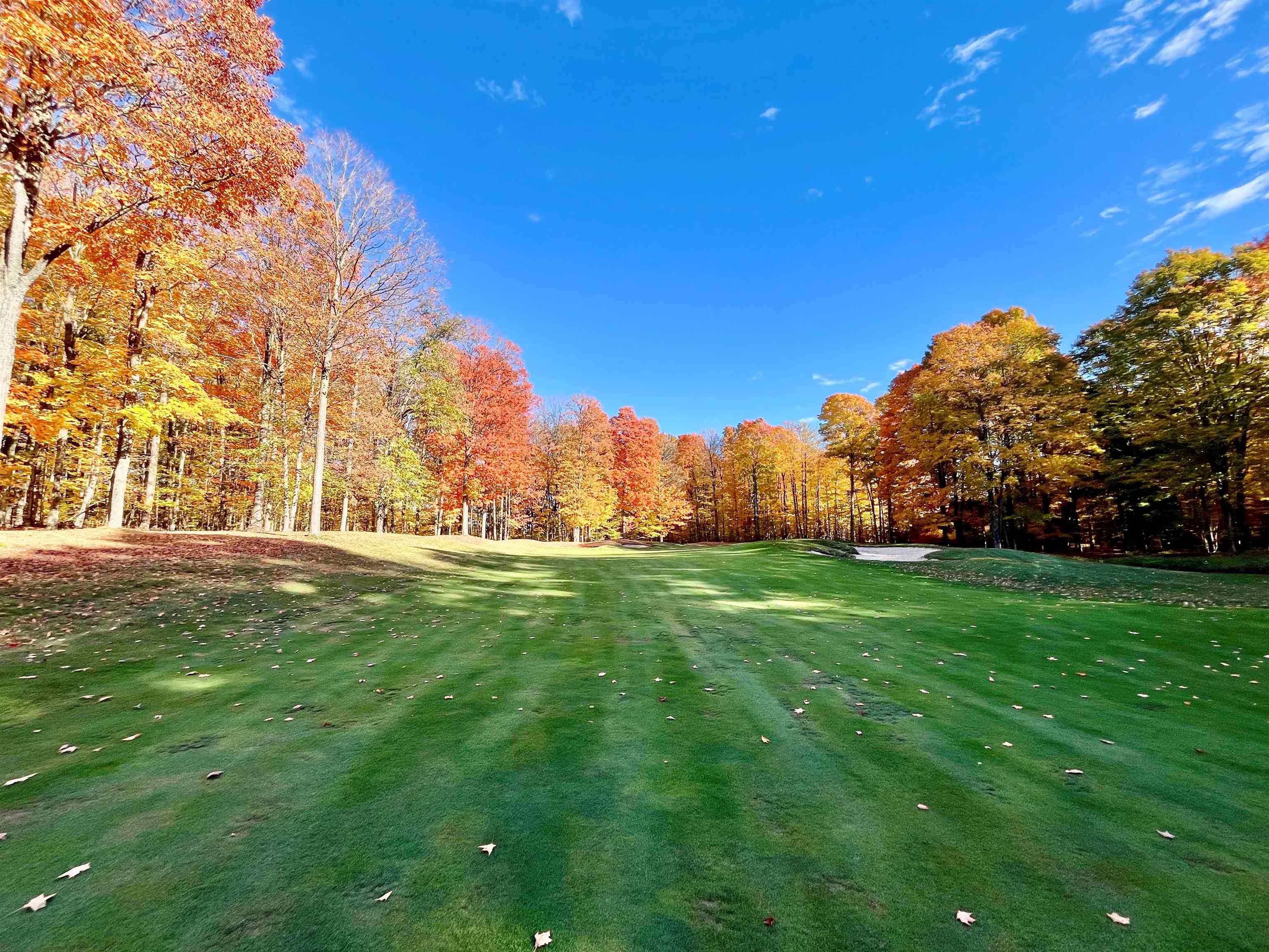 V/L 82 Troon North Lot: 82