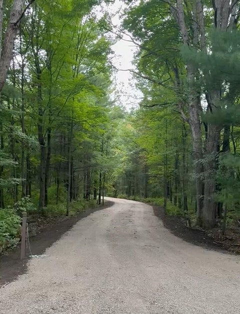 Photo of 403 W Wackerly Road, Sanford, MI 48657 (MLS # 70562492)