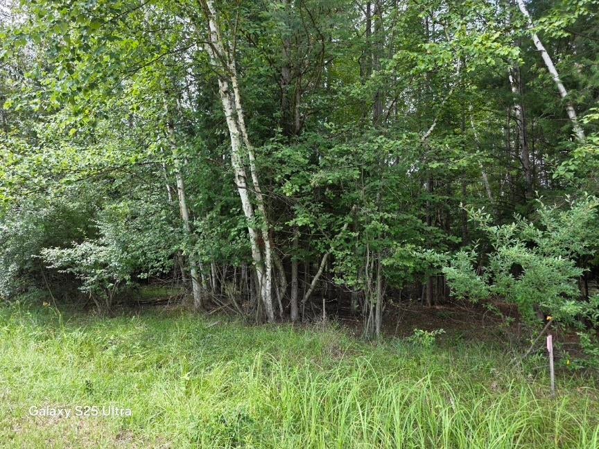 Photo of 41 Sandbridge Court, Gladwin, MI 48624 (MLS # 50217813)