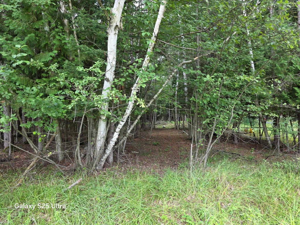 Photo of 41 Sandbridge Court, Gladwin, MI 48624 (MLS # 50217813)