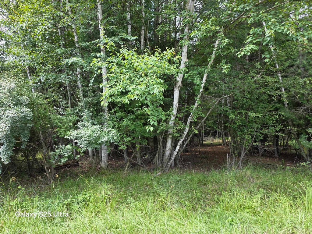 Photo of 41 Sandbridge Court, Gladwin, MI 48624 (MLS # 50217813)