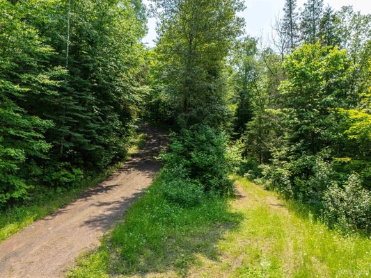 POLLACK RD, IRON RIVER, MI 49935 - Image 7c5325653b0a0761b02daaa0de0a474e/4201596626