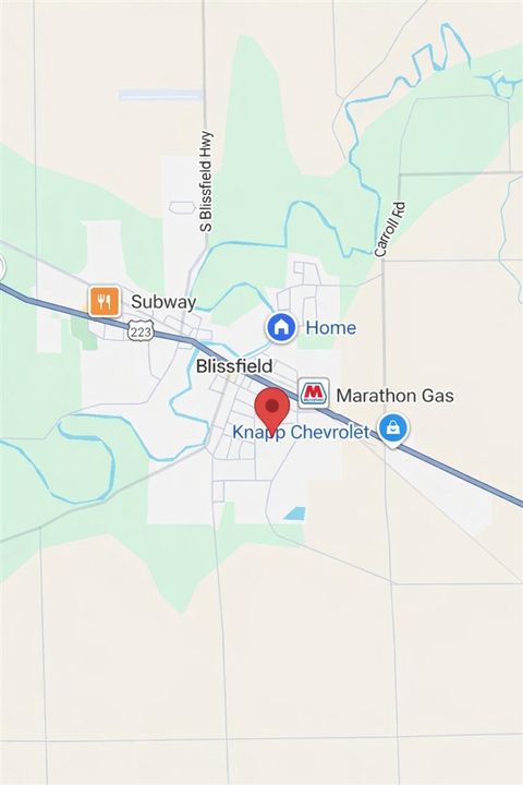 400 Depot Street Blissfield MI 49228