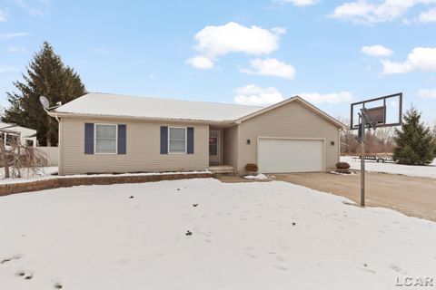 Photo of 3110 Crabtree Drive, Tecumseh, MI 49286 (MLS # 50196207)