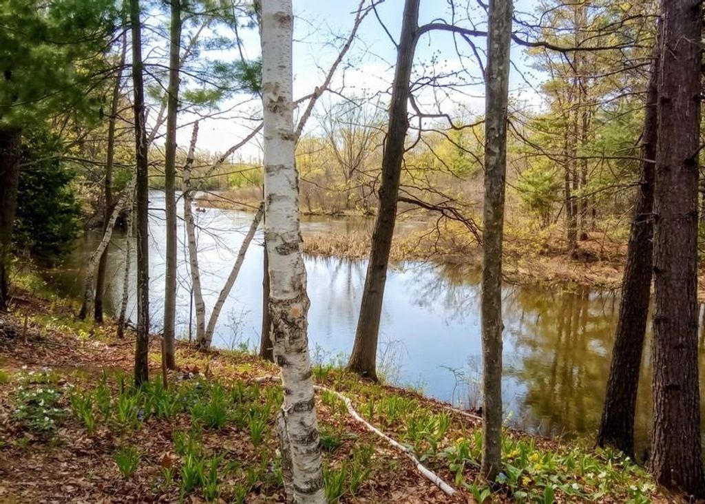 Photo of 3215 North Branch Drive, Beaverton, MI 48612 (MLS # 50205338)