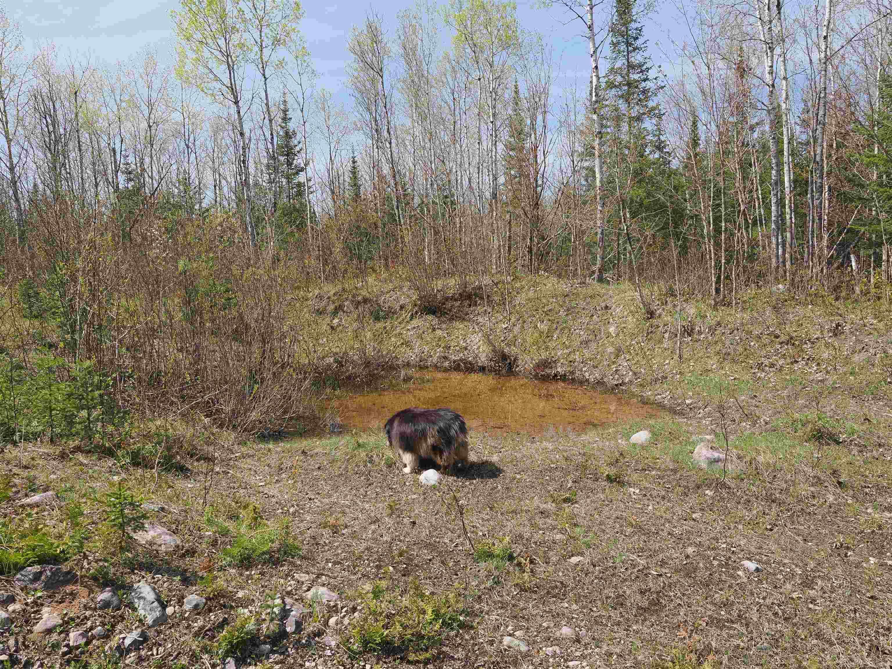 w15598 Hiawatha Trail
