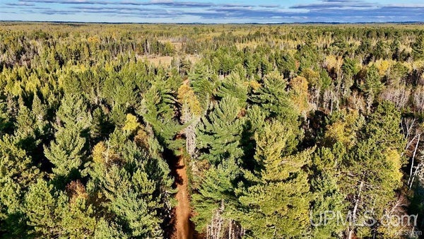 WILLET LN, REPUBLIC, MI 49879 - Image 7f736b263c0dafc8520a4ad22a0f8d76/1419979960