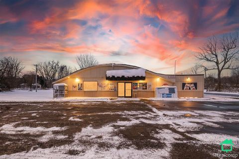 12763 Ostrander Road Maybee MI 48159