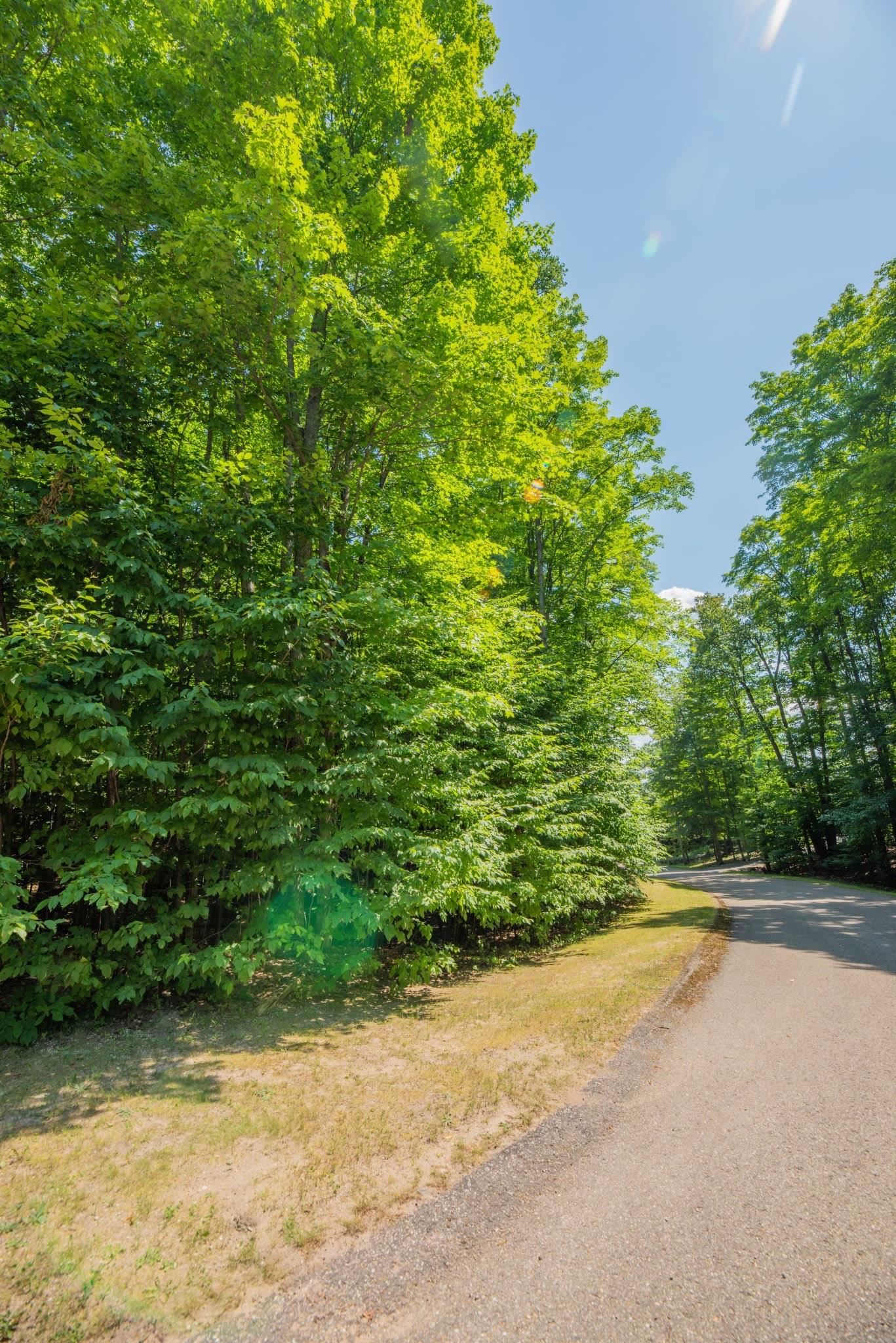 Lot 165 Forest Highlands Lot: 165