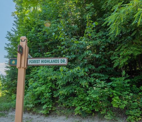 Lot 165 Forest Highlands Lot: 165 Bellaire MI 49615