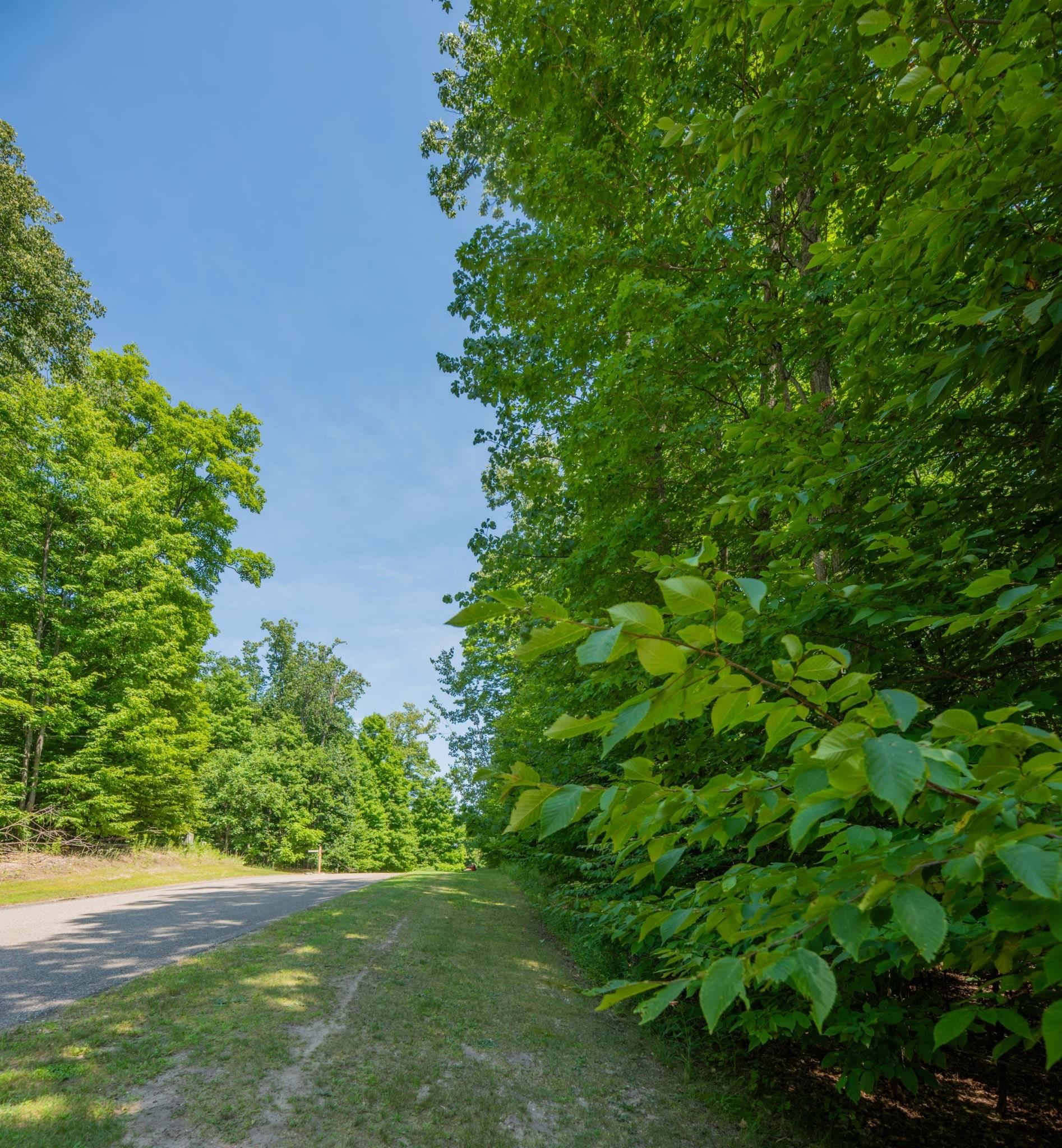 Lot 165 Forest Highlands Lot: 165