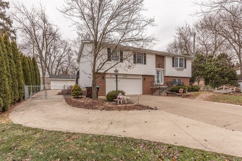 626 Plank Street Dundee MI 48131