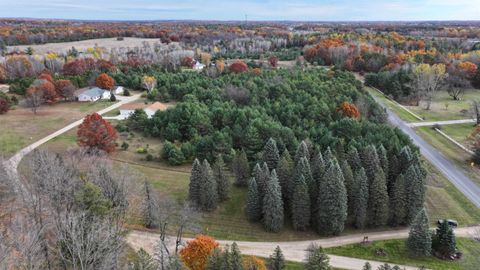 Photo of TBD Harding Avenue, Farwell, MI 48622 (MLS # 80069116)
