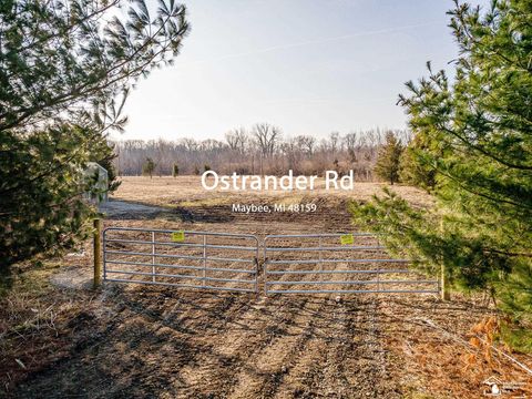 13343 Ostrander Road Maybee MI 48159