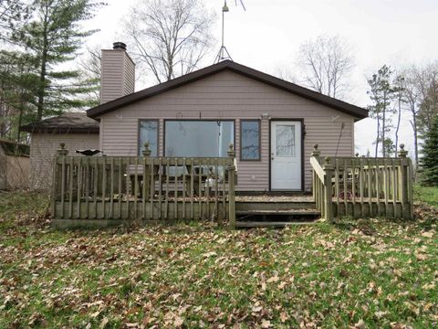 Photo of 7861 S Dyer Lake Road, Falmouth, MI 49632 (MLS # 80067071)