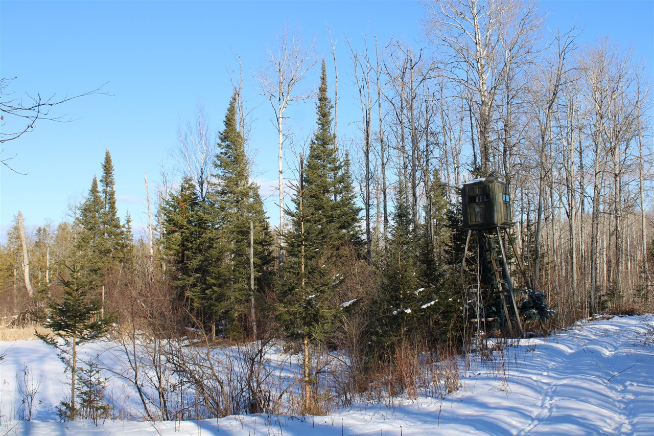 Photo 49