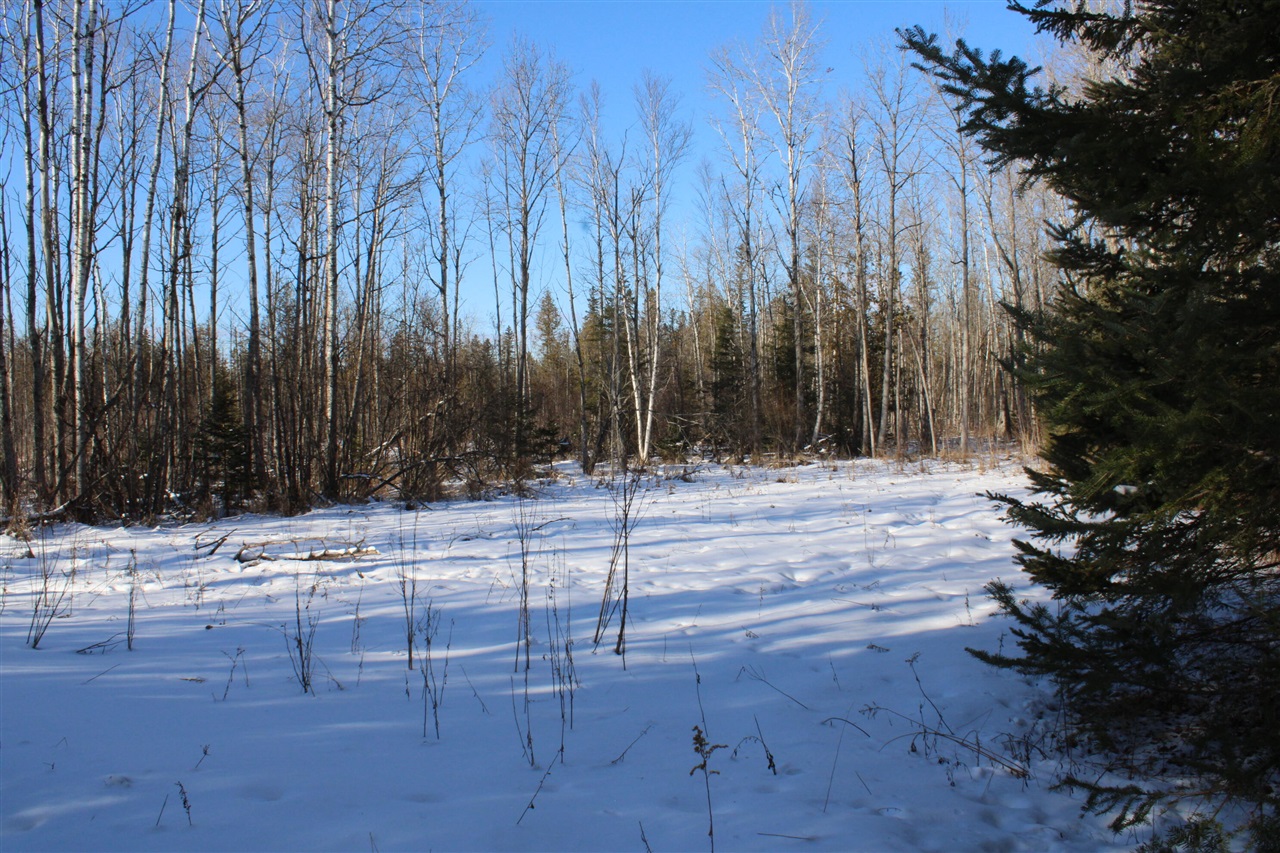 Photo 45