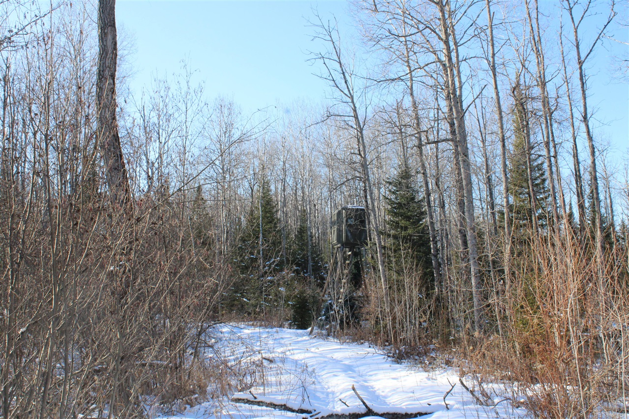 Photo 48