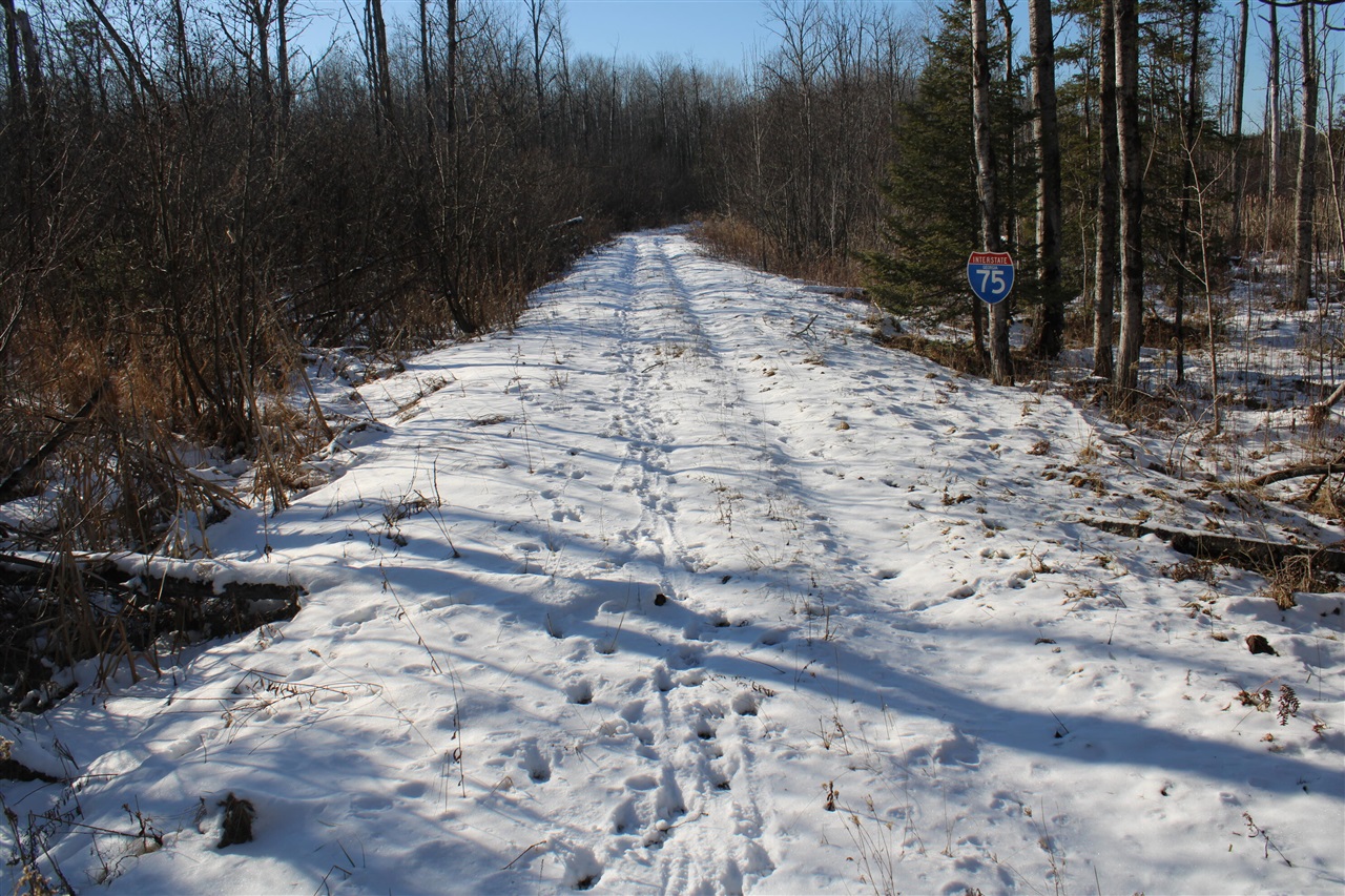 Photo 47