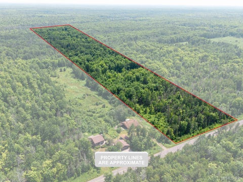 Photo of 20 Acres TBD DUKES Road, Skandia, MI 49885 (MLS # 50222405)