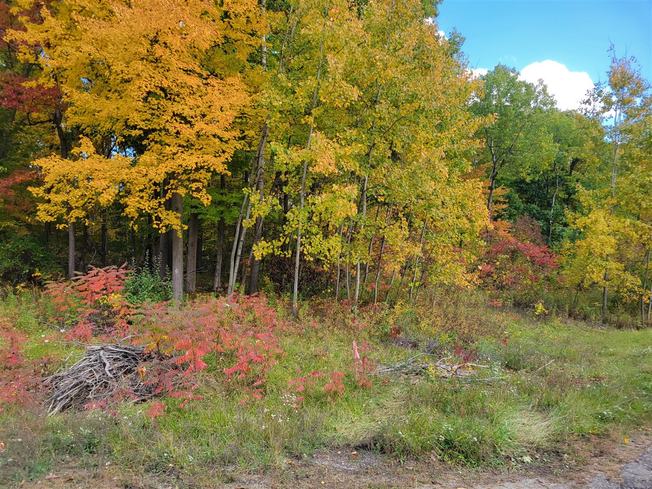 74016 Ridgeway Drive