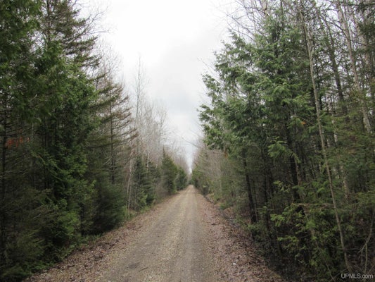 TBD DEERTON-SAND LAKE ROAD, DEERTON, MI 49822 - Image 8f1a14a722b7ad1eec2e94d33d309beb/3530239932