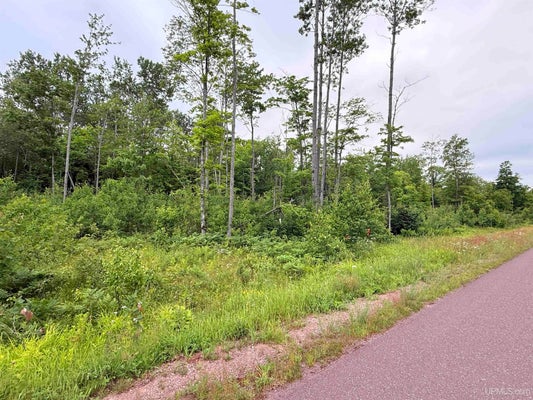 ADDRESS PRIVATE, HOUGHTON, MI 49931 - Image 8f8b3dfcd697cc36944b34f6d4e86b5e/793530170