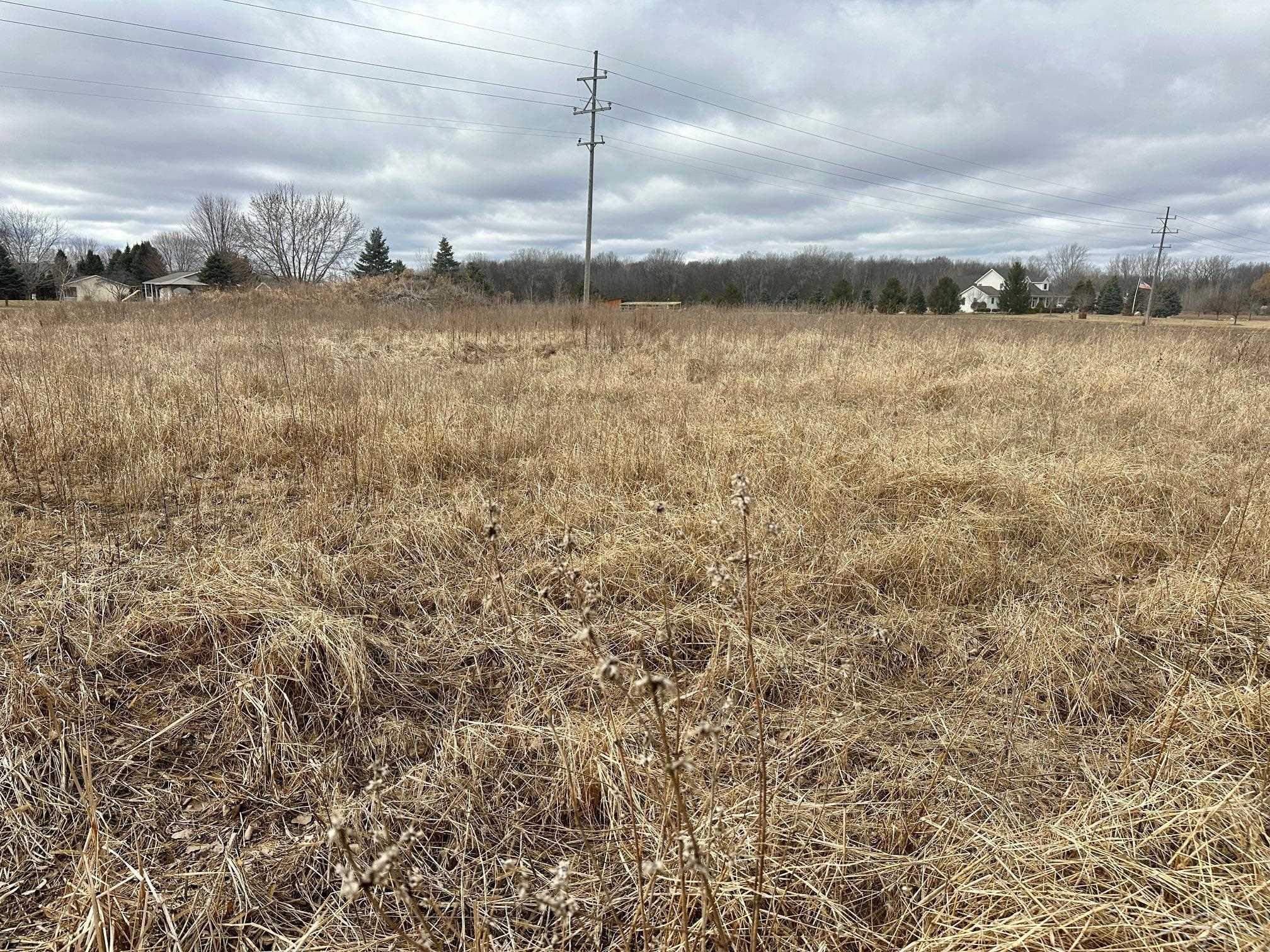 Saginaw, Michigan 48623, United States, ,Land,Active,87162