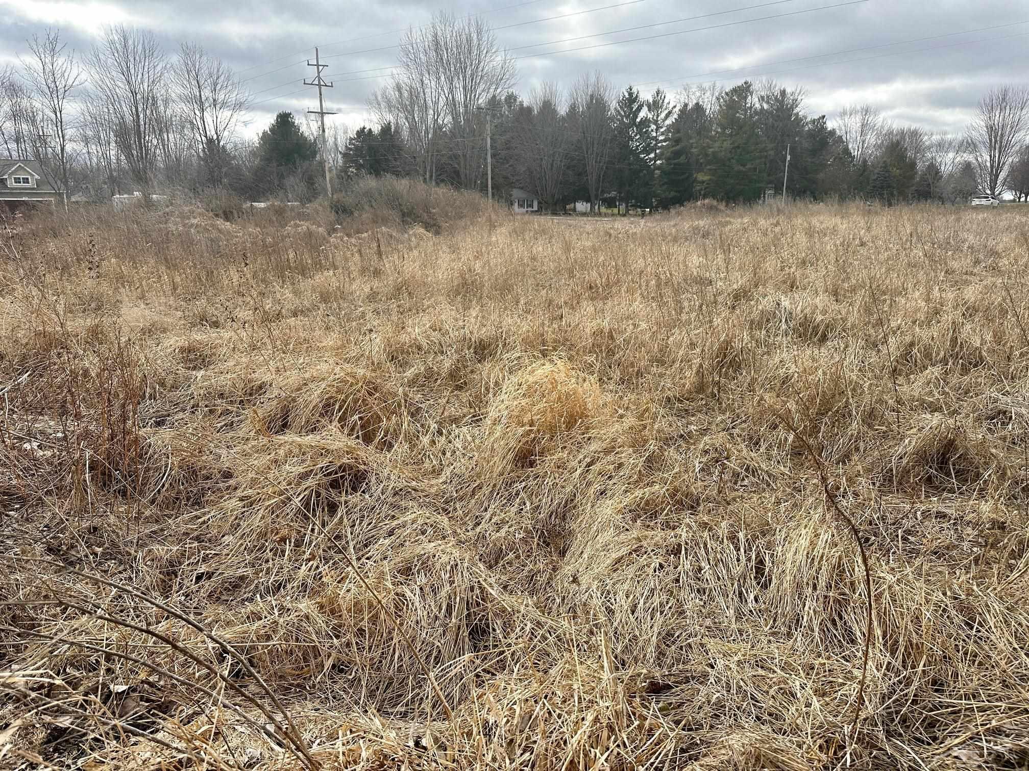 Saginaw, Michigan 48623, United States, ,Land,Active,87162