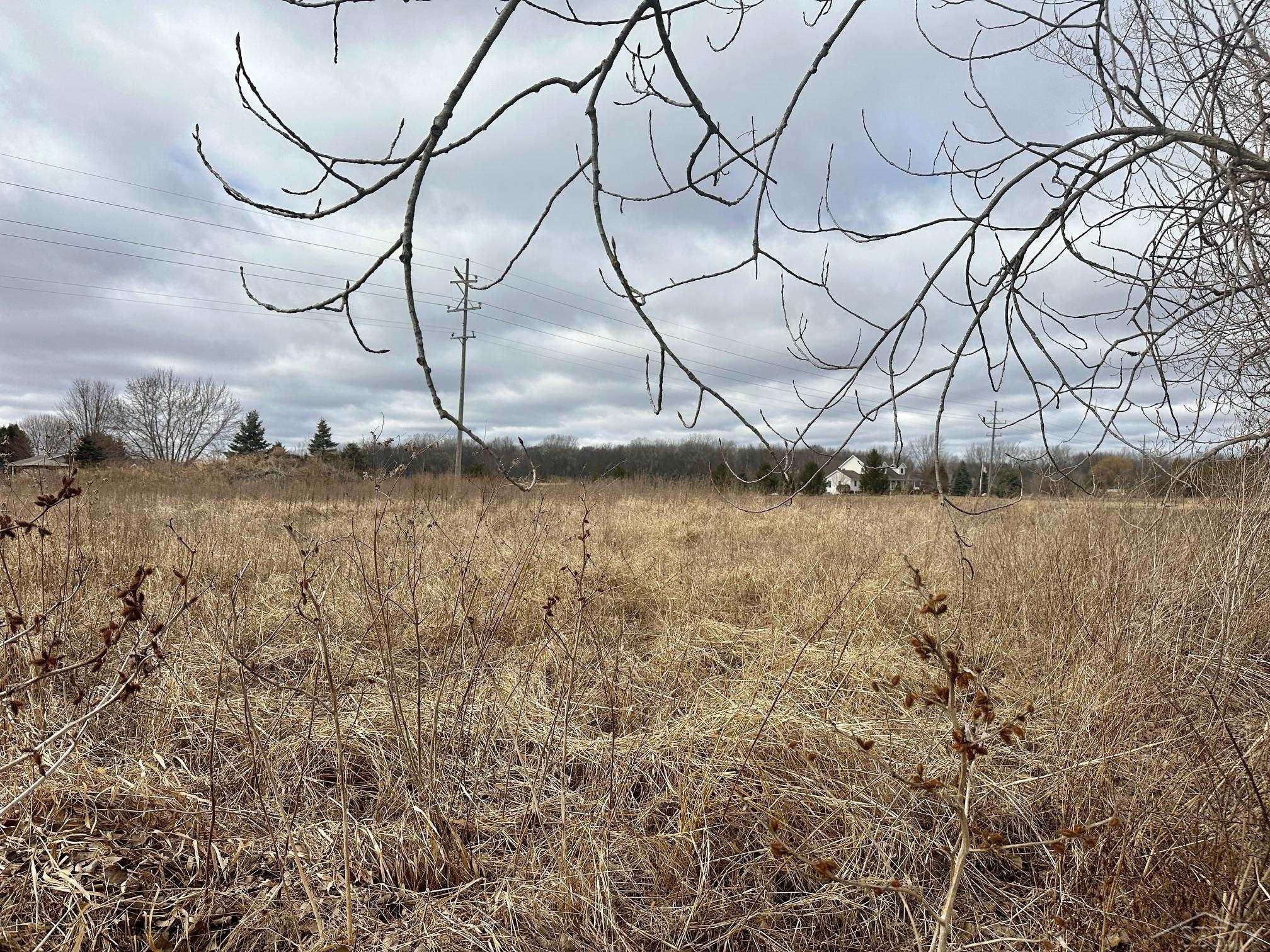 Saginaw, Michigan 48623, United States, ,Land,Active,87162