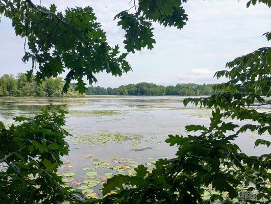 DEER RUN, GLADWIN, MI 48624 - Image 902bce06da9b49beaea2aa60fd32e057/1500963009
