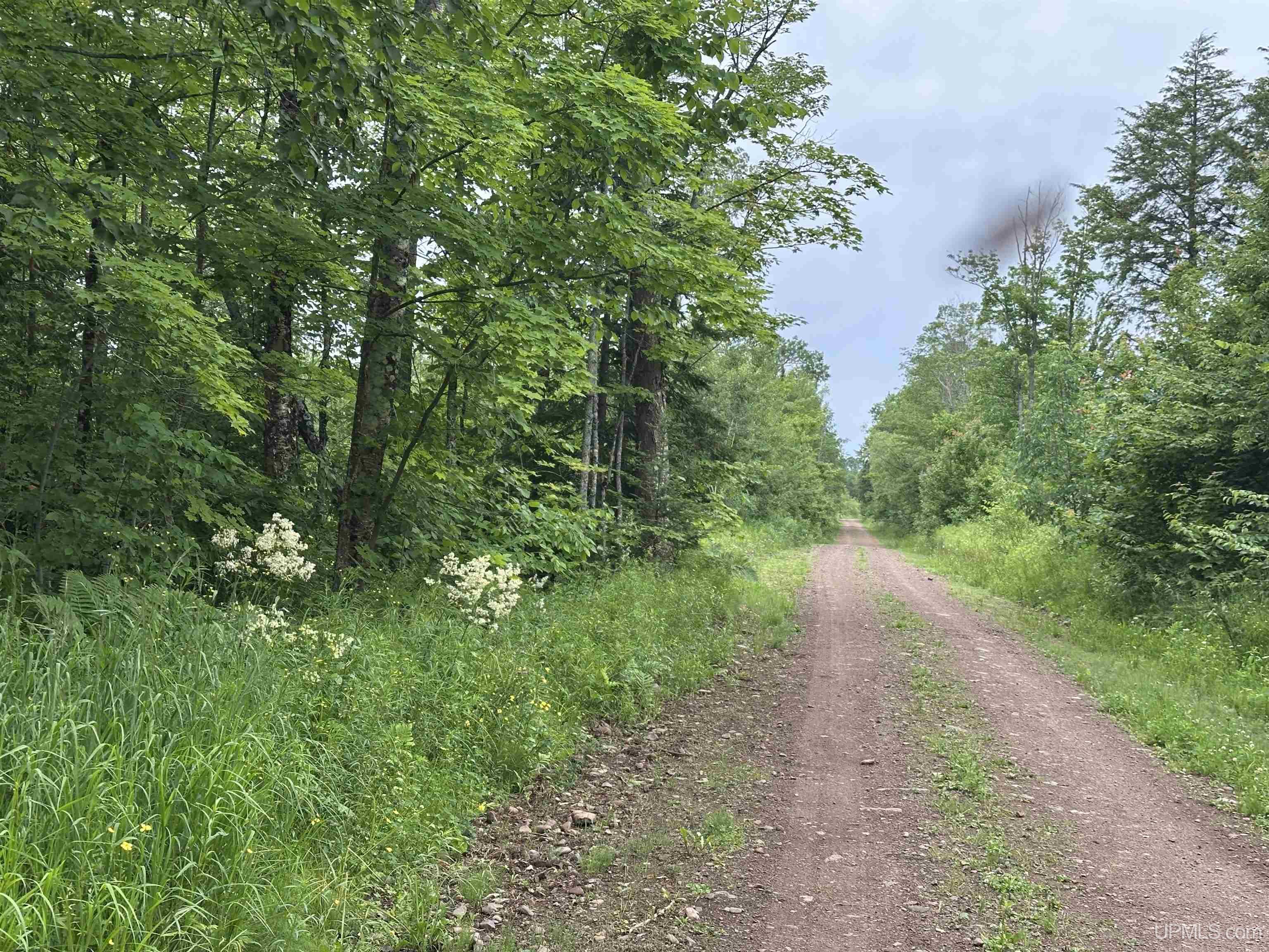 On FR 484 (aka Camp 3 Rd) Road